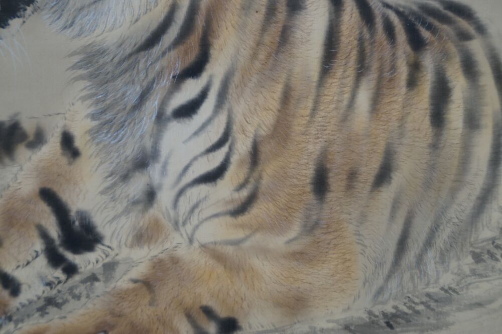 Makroaufnahme der Fellzeichnung am Ruecken des Tigers im Kakemono Tiger auf Felsen