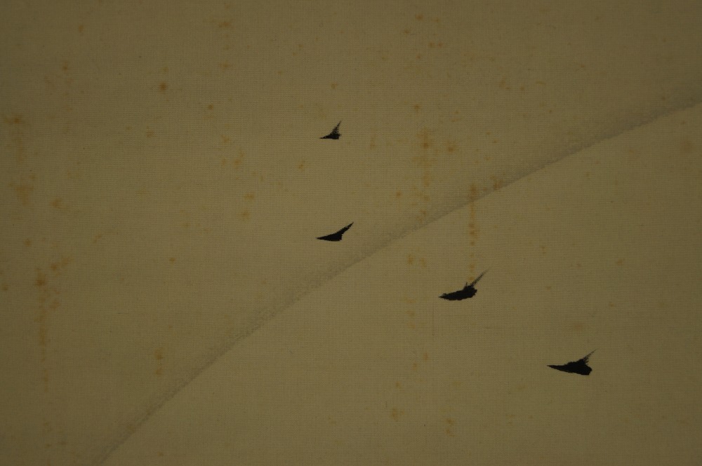 Rouleau suspendu japonais paysage enneigé gros plan sur le motif d'oiseaux 2