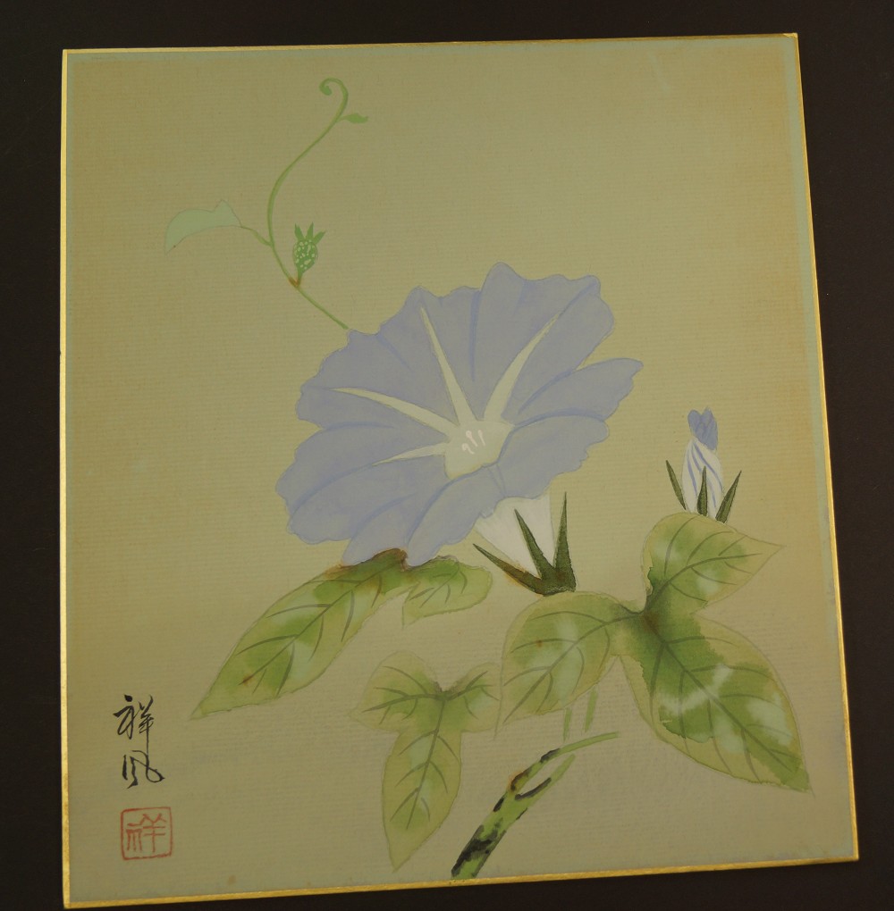 Shikishi mit gemalter blauer Prunkwinde (Asagao), Gesamtmotiv ohne Rahmung