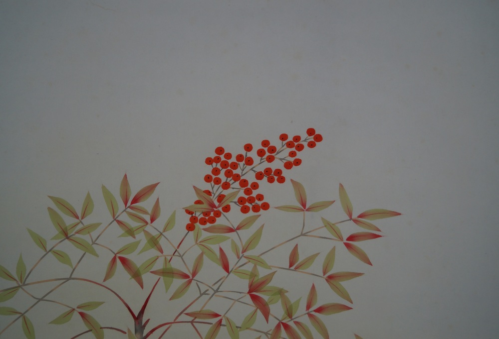 Vogel und Blume Beeren Nahaufnahme 1