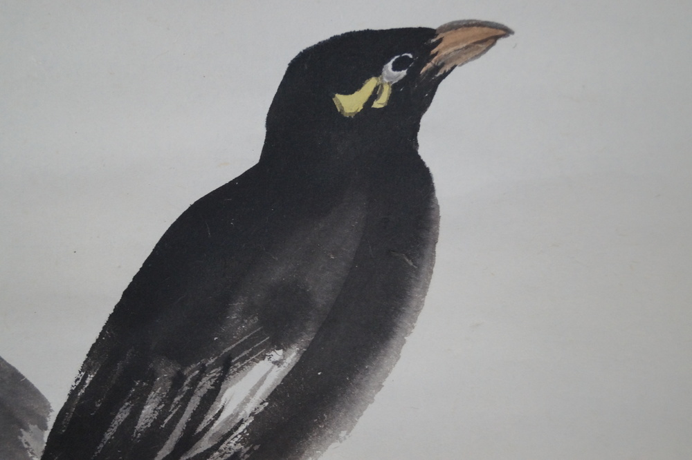 L'oiseau au grenadier Makuri Motif oiseau gros plan 2