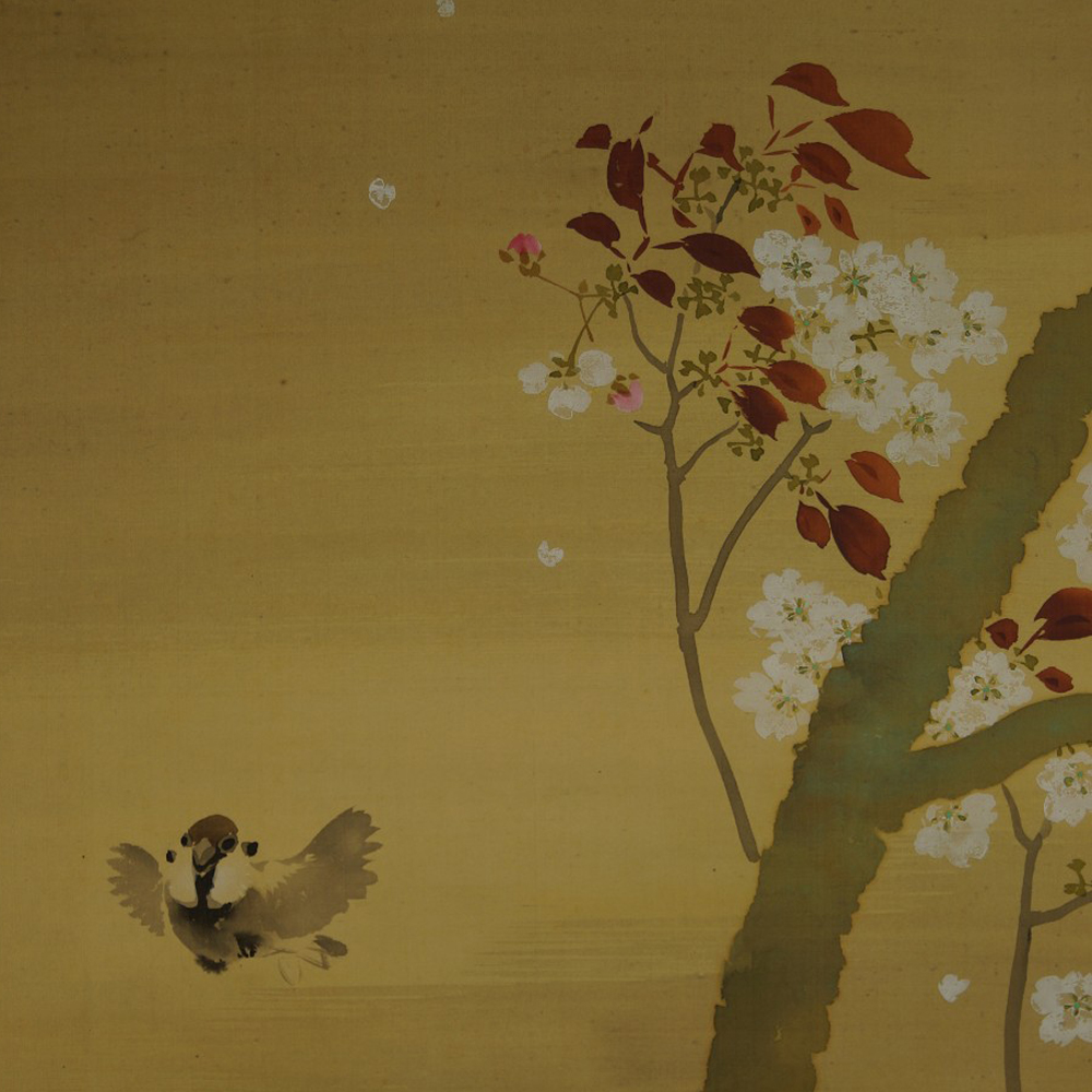 Japanisches Rollbild Spatz und Sakura Motiv Nahaufnahme Vorschau