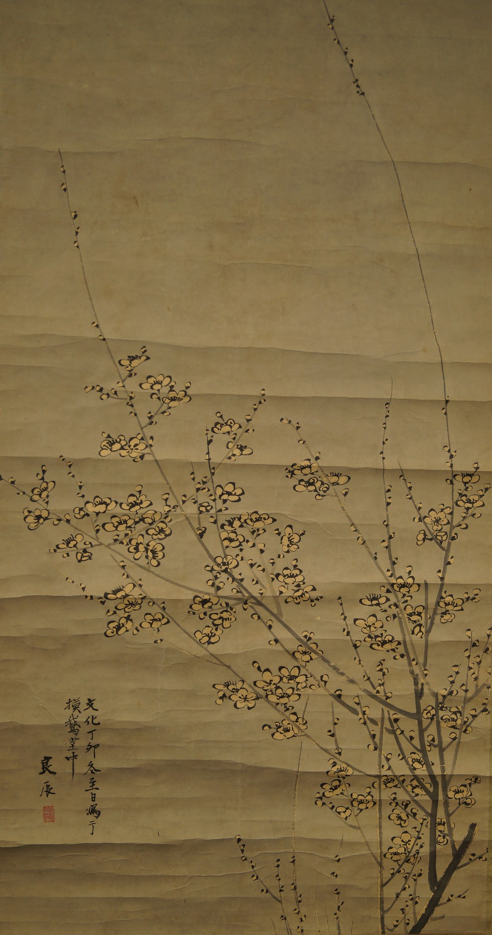 Sakura motif complet sans montage