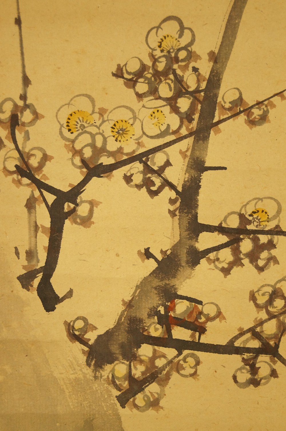 Sakura Pflaumenbluete Nahaufnahme 2