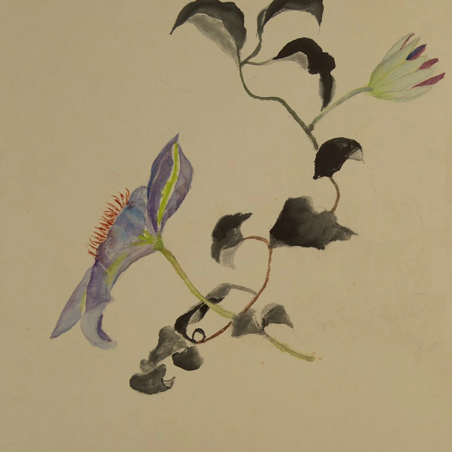 Shikishi Blume Motiv Nahaufnahme Vorschau