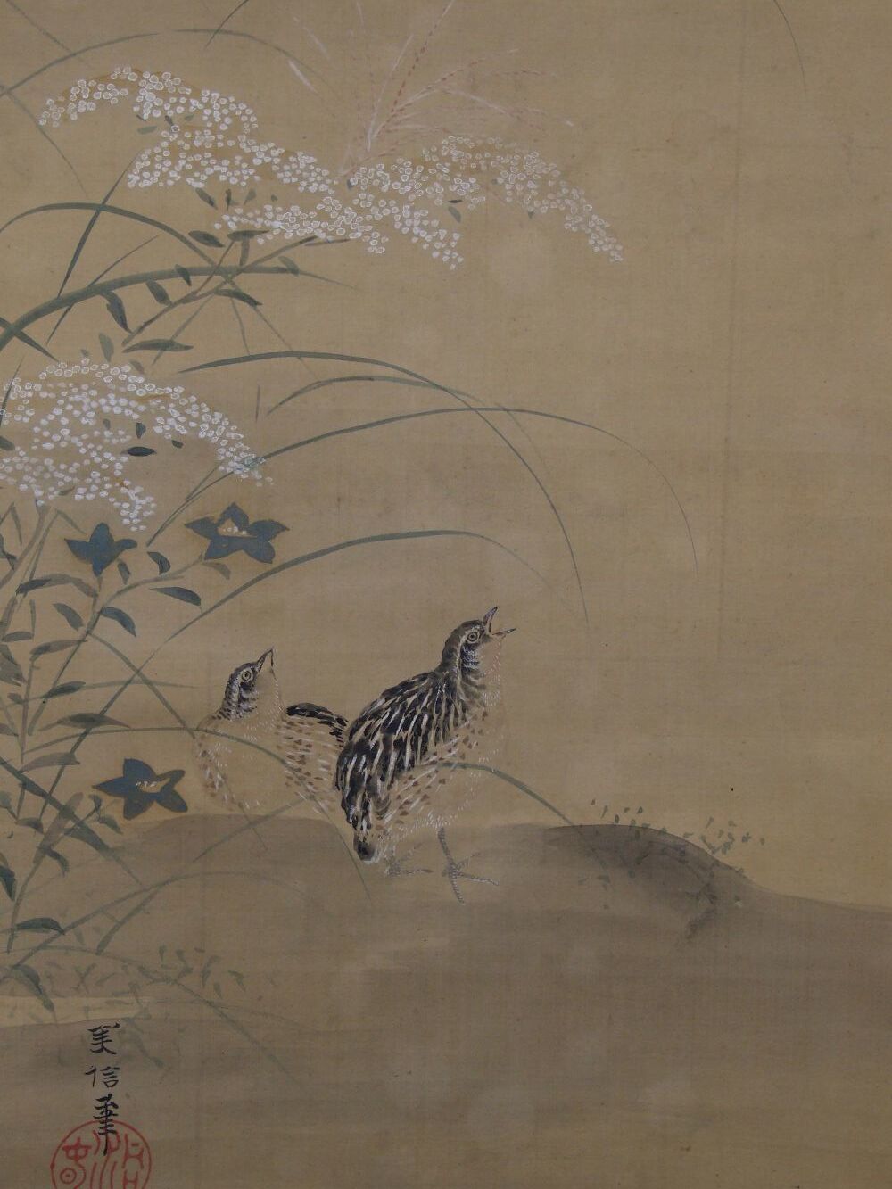 Close-up of the two quails with artist's signature Yoshinobu and seal in the kakemono