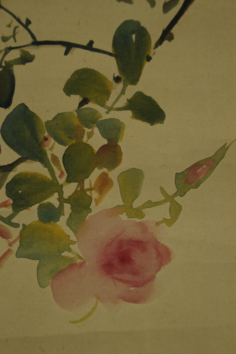 Vogel auf einem Rosenzweig Rosenmotiv Nahaufnahme 2