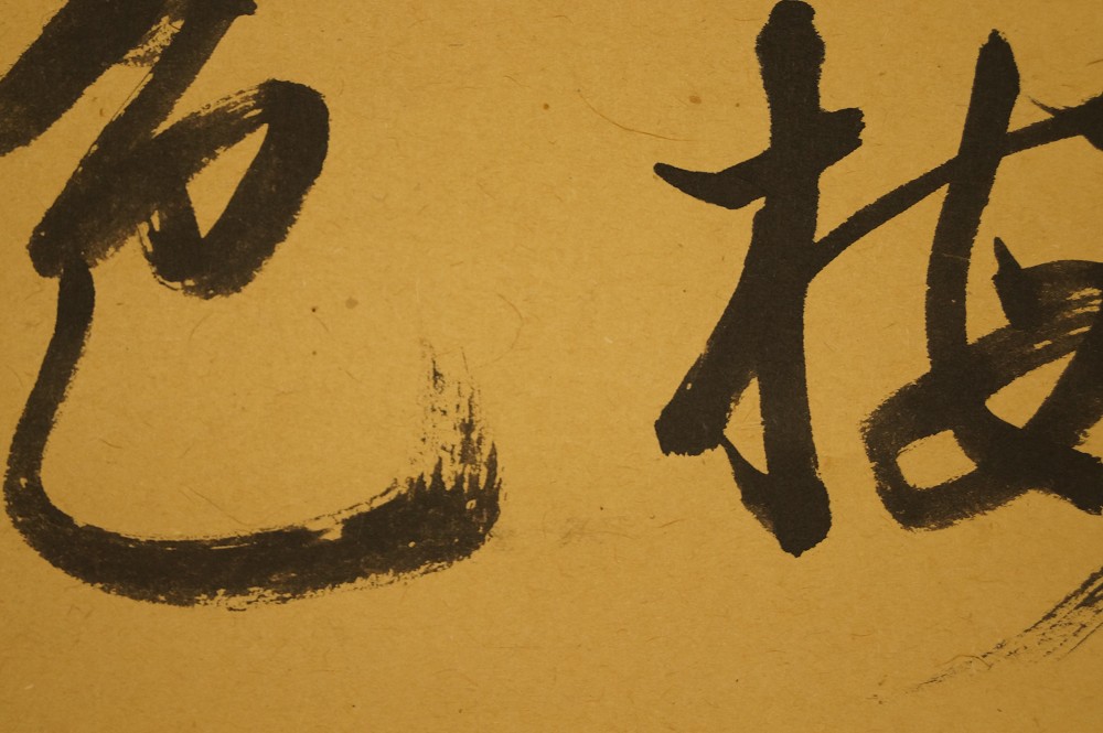 Kakemono Calligraphy Close-Up 4