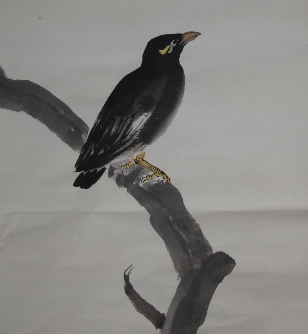 L'oiseau au grenadier Makuri motif oiseau gros plan
