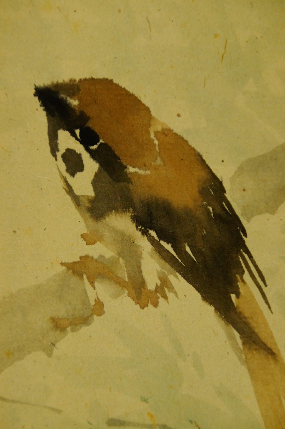 Spatz auf Bambuszweigen Kakemono von Matsuura Shodo Spatz-Motiv Nahaufnahme 2