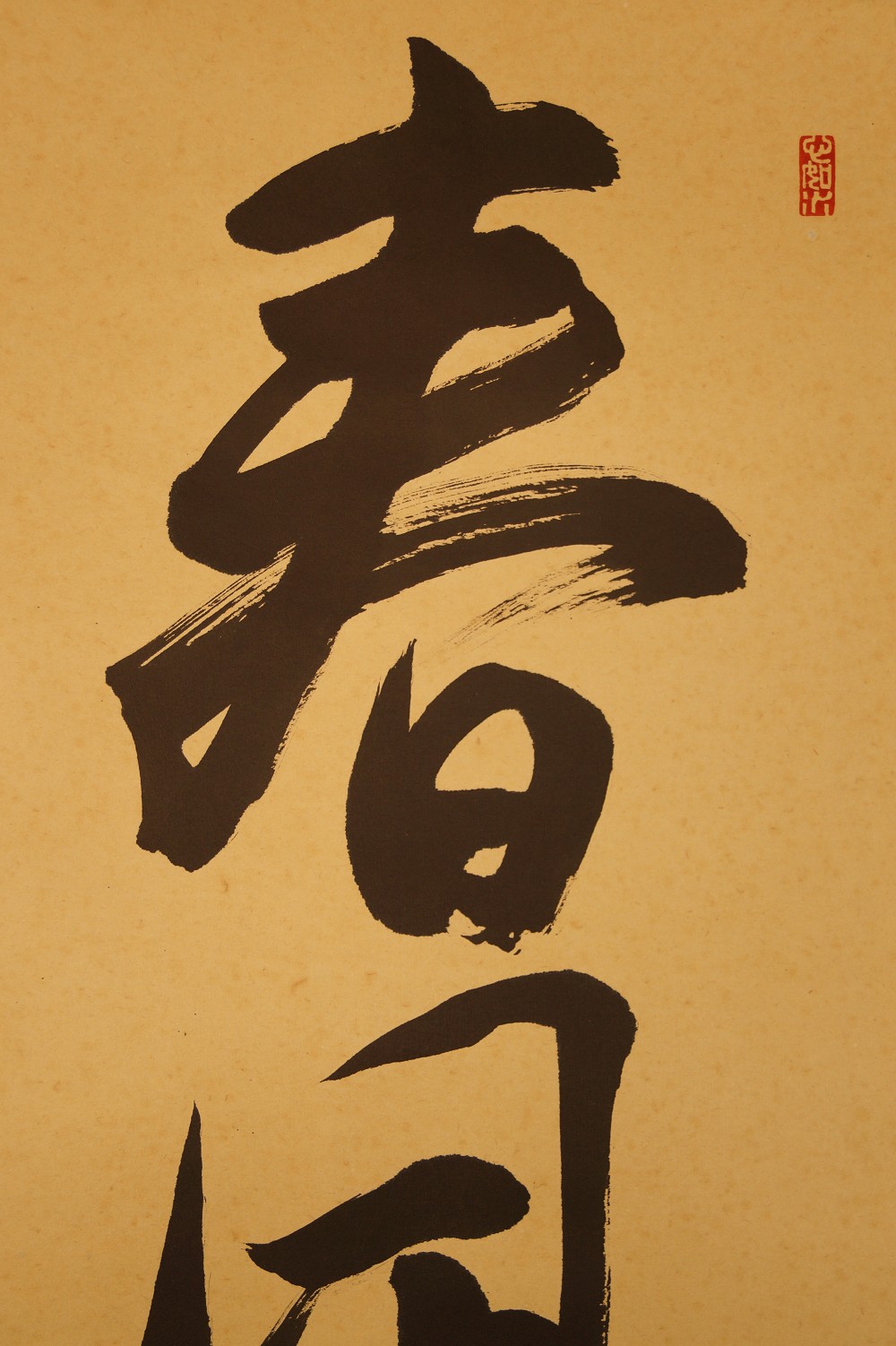 Calligraphy Spring Wind Calligraphy Close-Up 1