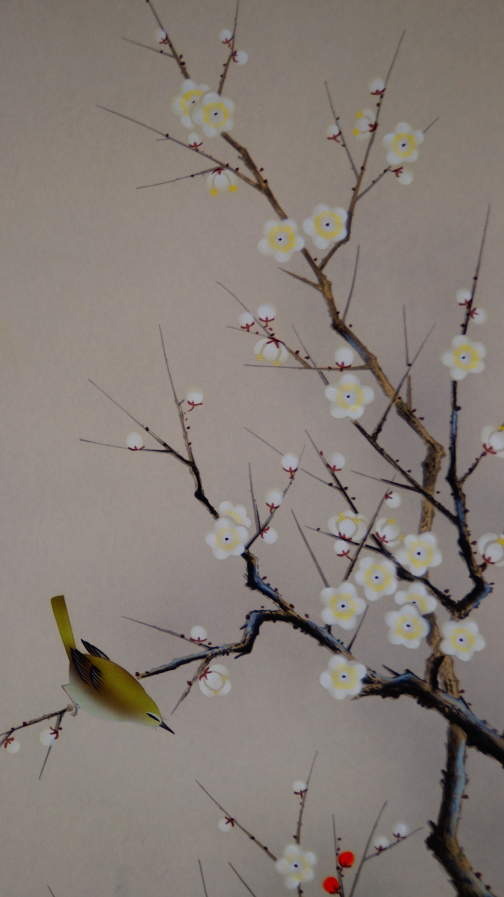Fruehlingszweig mit Vogel Kakemono von Arii Shoun Vogel-Motiv Nahaufnahme
