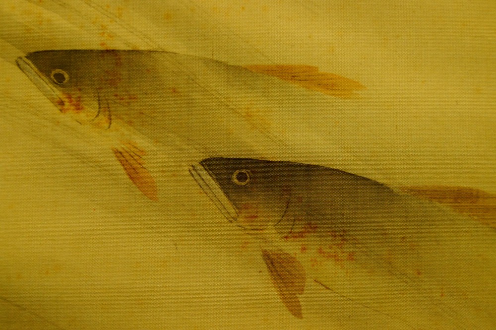 Zwei Forellen im Wasser Kakemono von Akamatsu Unrei Forellen-Motiv Nahaufnahme 2