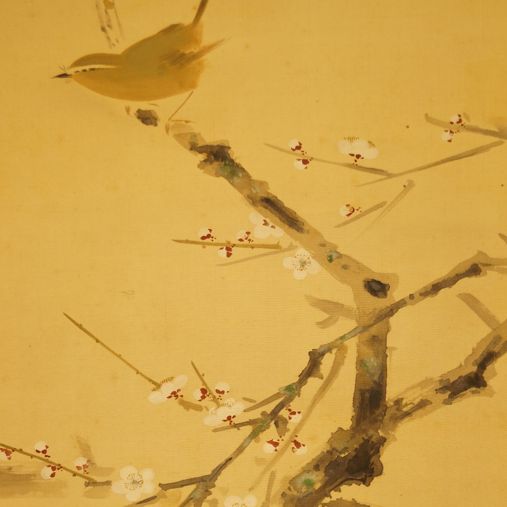 Vogel auf einem Kirschbaumzweig von Yasuyama Tachiwaki Motiv Nahaufnahme Vorschau