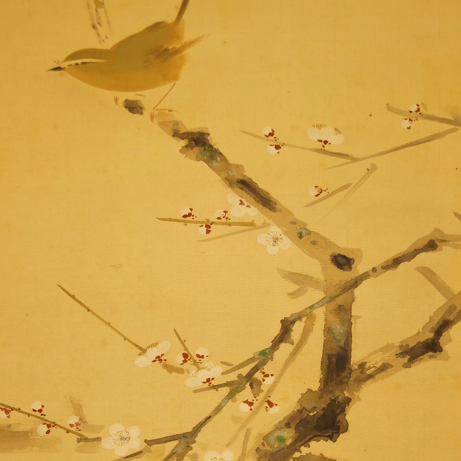 Vogel auf einem Kirschbaumzweig von Yasuyama Tachiwaki Motiv Nahaufnahme Vorschau