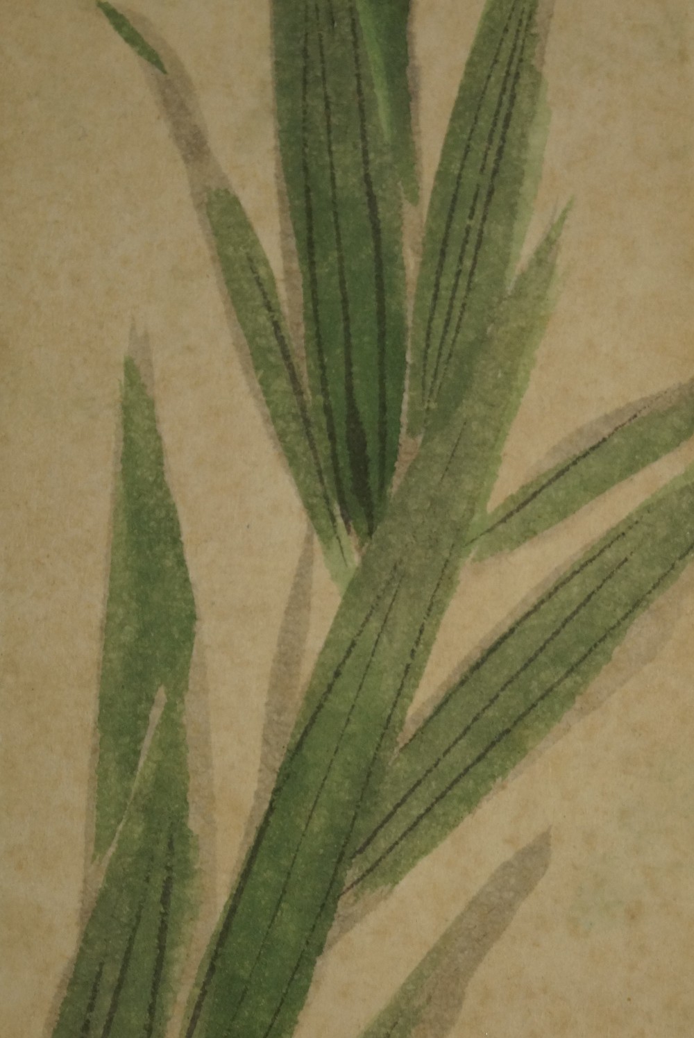Leaves and Stem of the Lily Motif Close-Up