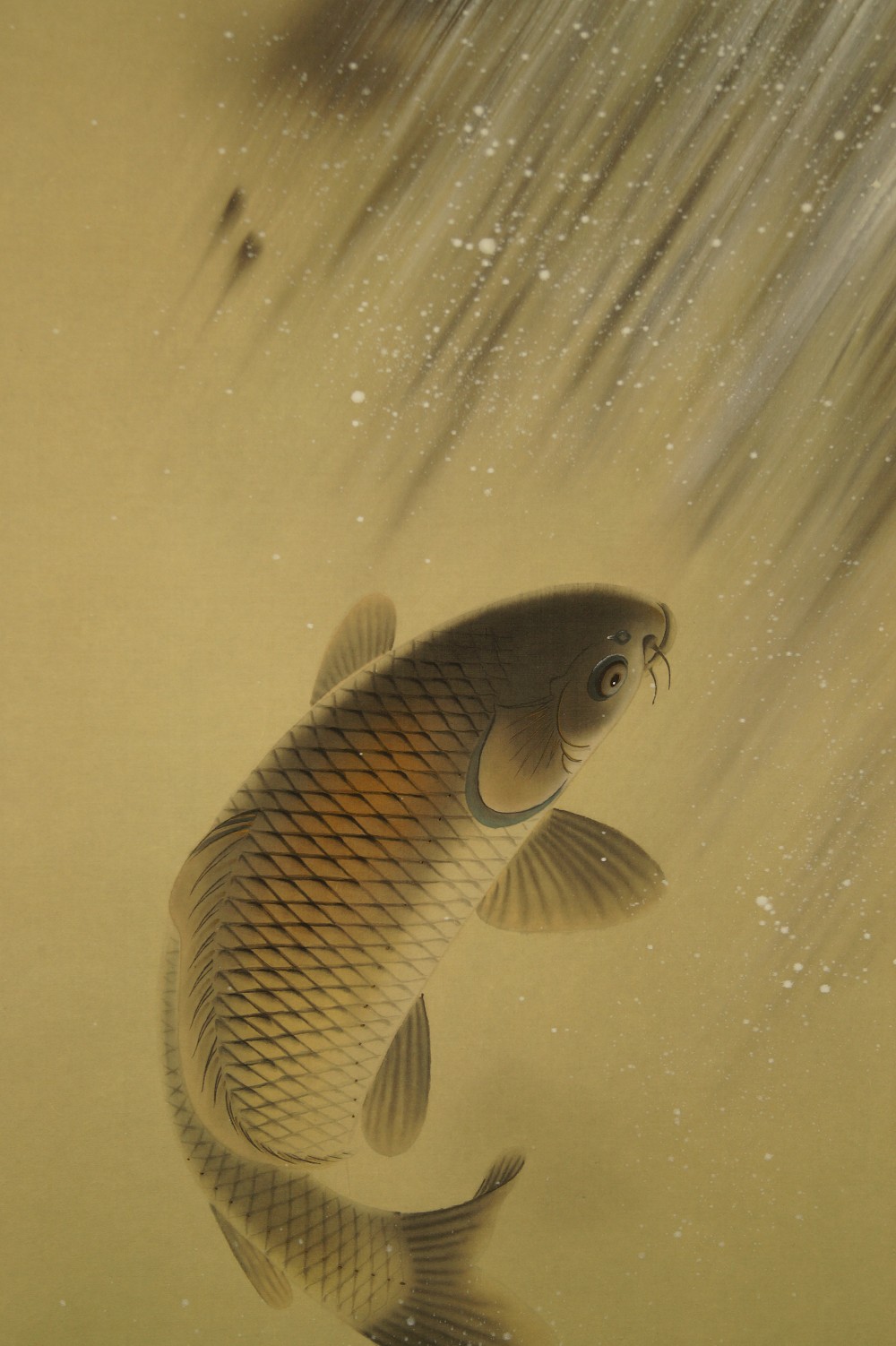 Koi am Wasserfall Kakemono Koi Motiv Nahaufnahme 1