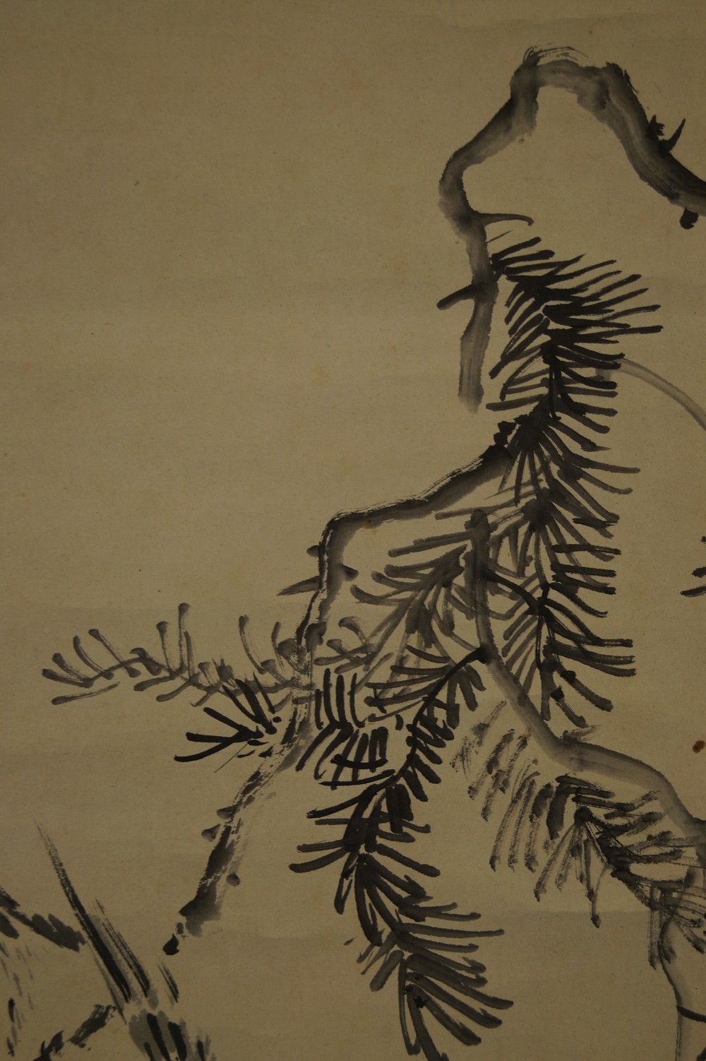 Vogel auf Kiefernzweig von Akiaki Okamoto Kiefer-Motiv Nahaufnahme 1
