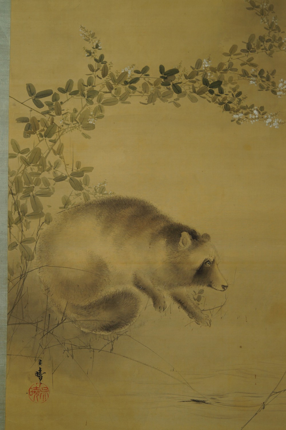 Kakemono Waschbaer Motiv Nahaufnahme