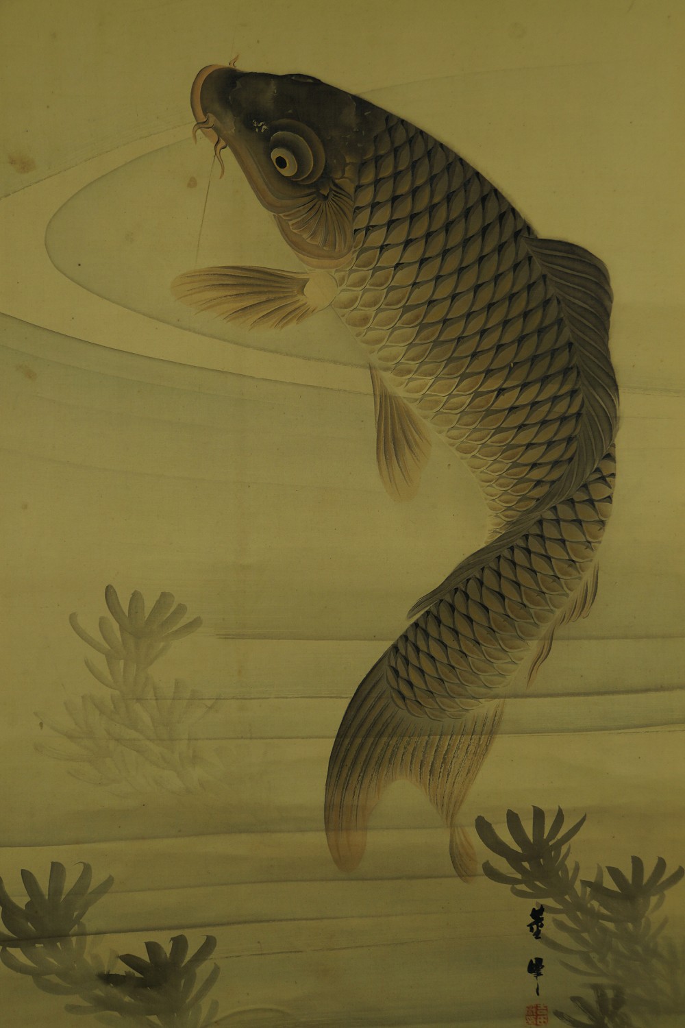Weiteres Gesamtmotiv des springenden Karpfens mit Wasserpflanzen ohne Einfassung