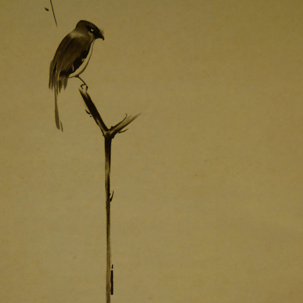 Anlehnung an Musashi Vogel auf einem Zweig Motiv Nahaufnahme Vorschau