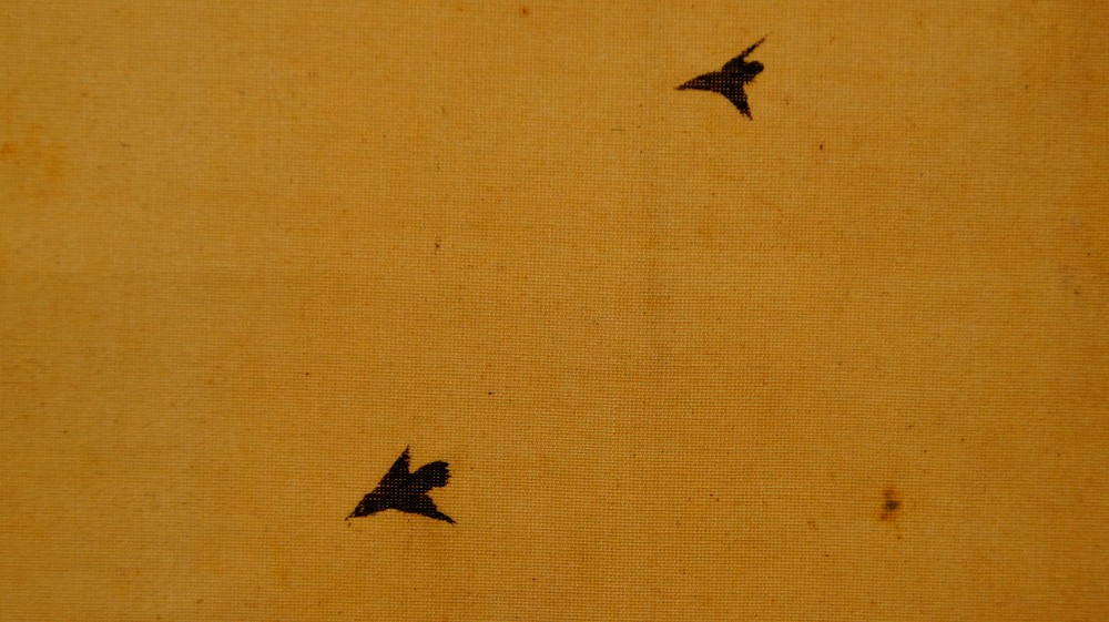 Nahaufnahme zweier fliegender Voegel vor dem leeren Himmel im Kakemono Wasserfall im Gebirge von Nakagawa Wado