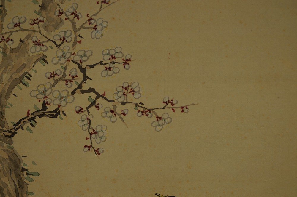 Sakura Bluetenzweig-Nahaufnahme 2