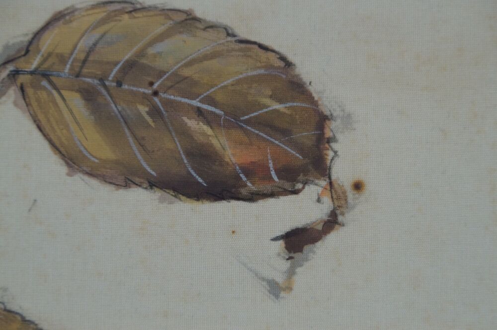 Makroaufnahme eines einzelnen Herbstblattes im Kakemono Wildschwein im Herbstlaub
