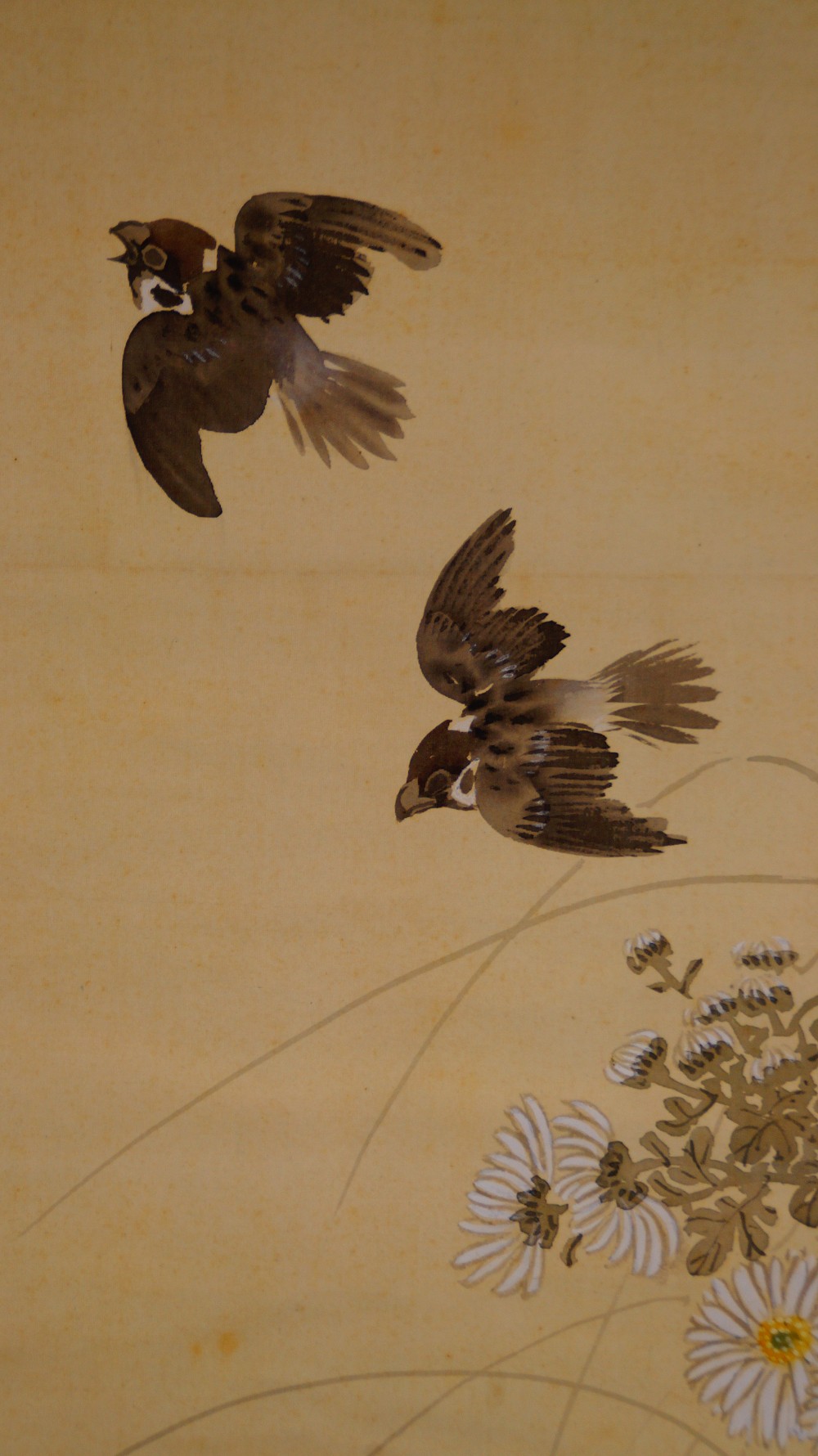 Sperlinge ueber Chrysanthemen Kakemono von Fukui Kotei Sperlinge-Motiv Nahaufnahme