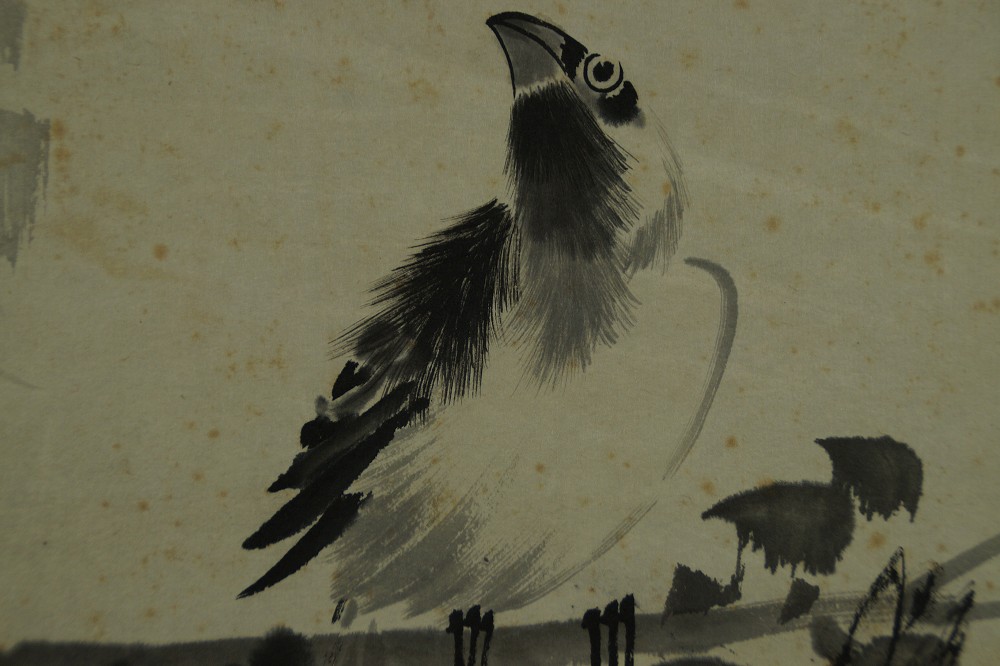 Nahaufnahme des unteren Vogels mit wachsam erhobenem Kopf