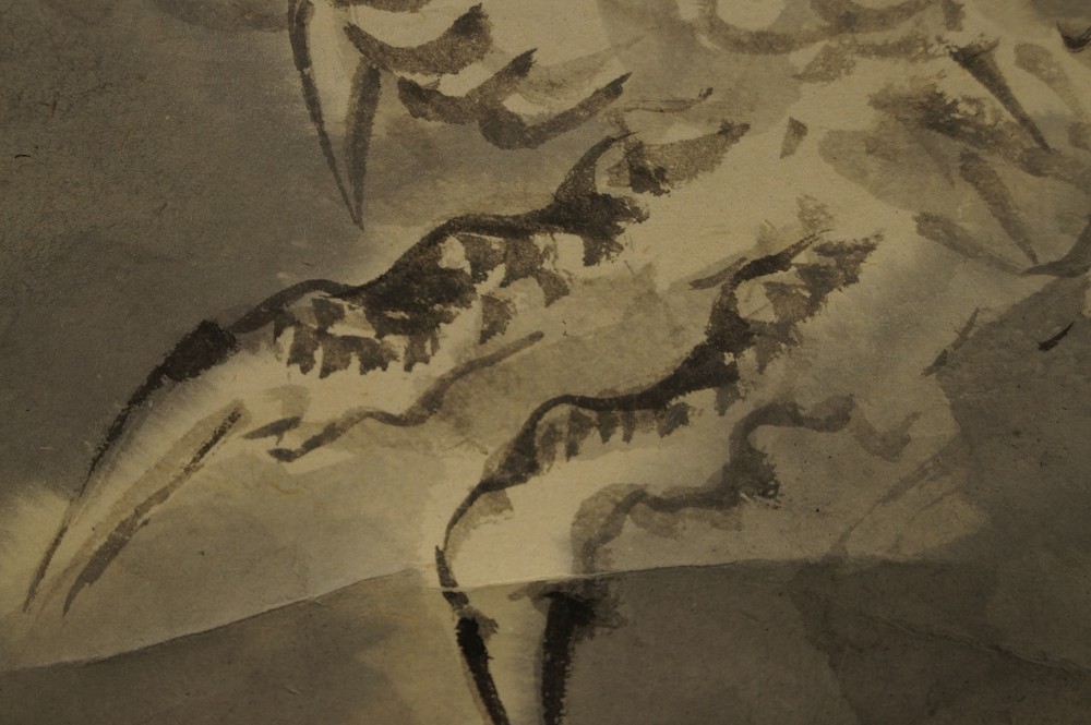 Gros plan sur le trait de pinceau les griffes du dragon