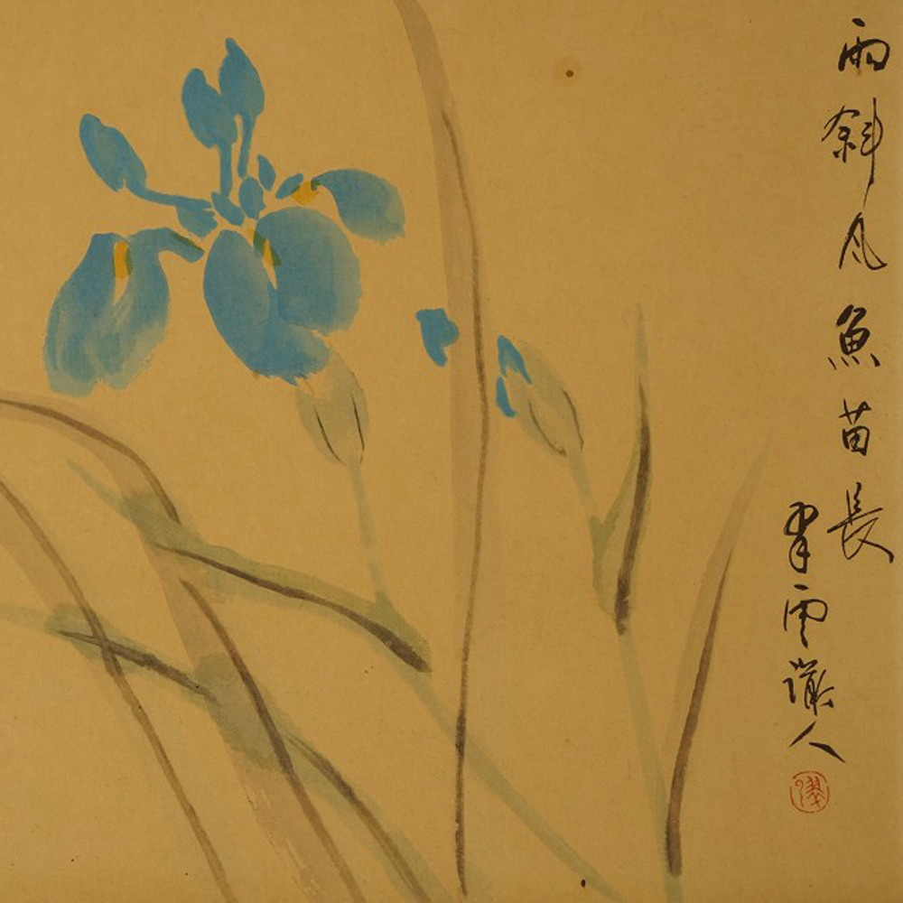Iris Kakemono Motiv Nahaufnahme Vorschau