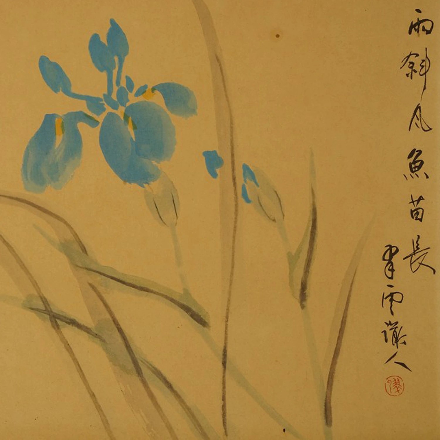 Iris Kakemono Motiv Nahaufnahme Vorschau