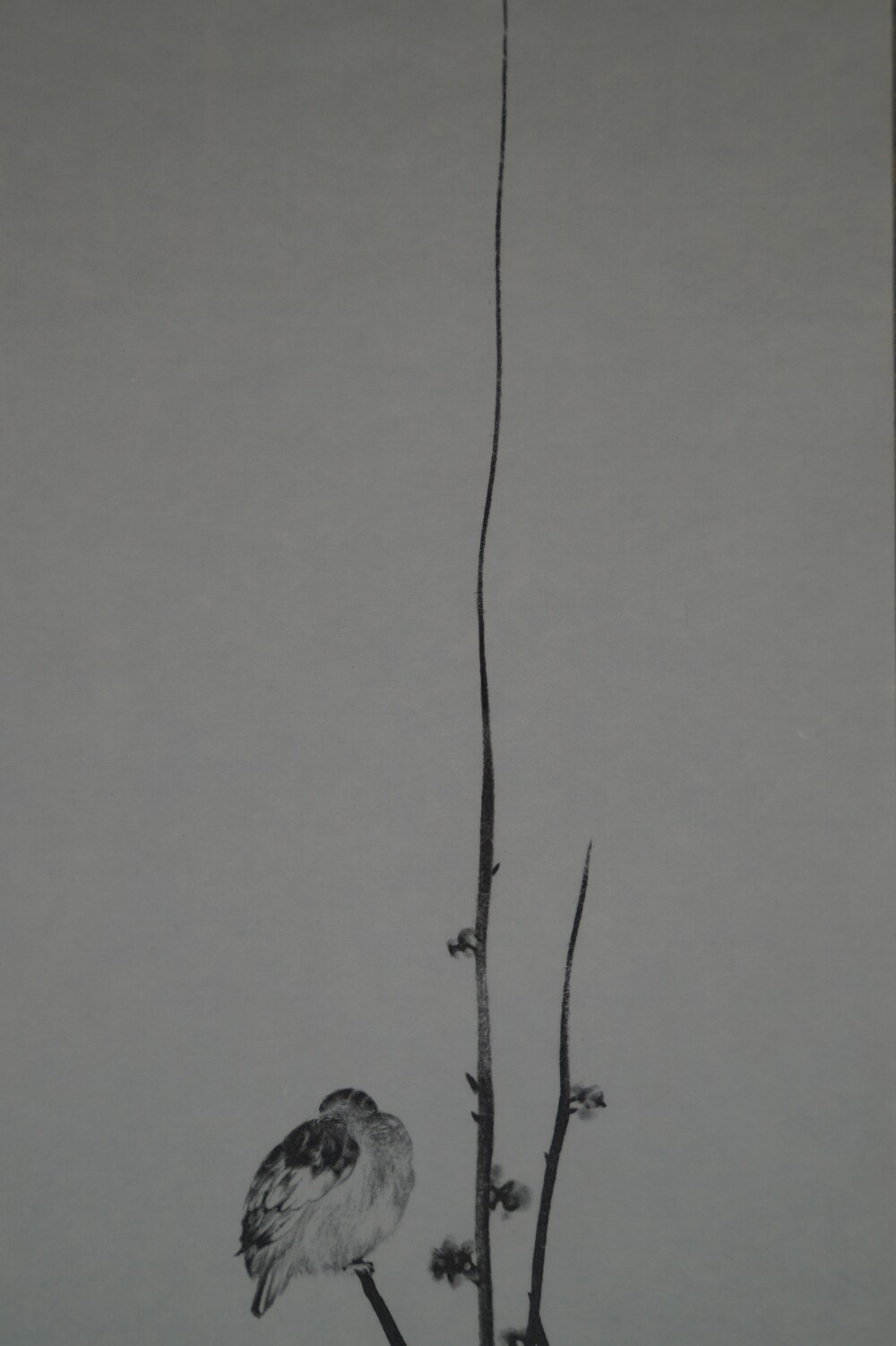 Nahaufnahme des duennen Pflaumenzweigs ohne Vogel in der Spatz-Rolle des Triptychons nach Miyamoto Musashi