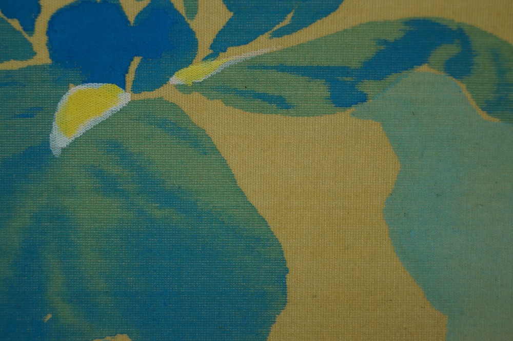 Schwertlilien Iris Motiv Nahaufnahme 2