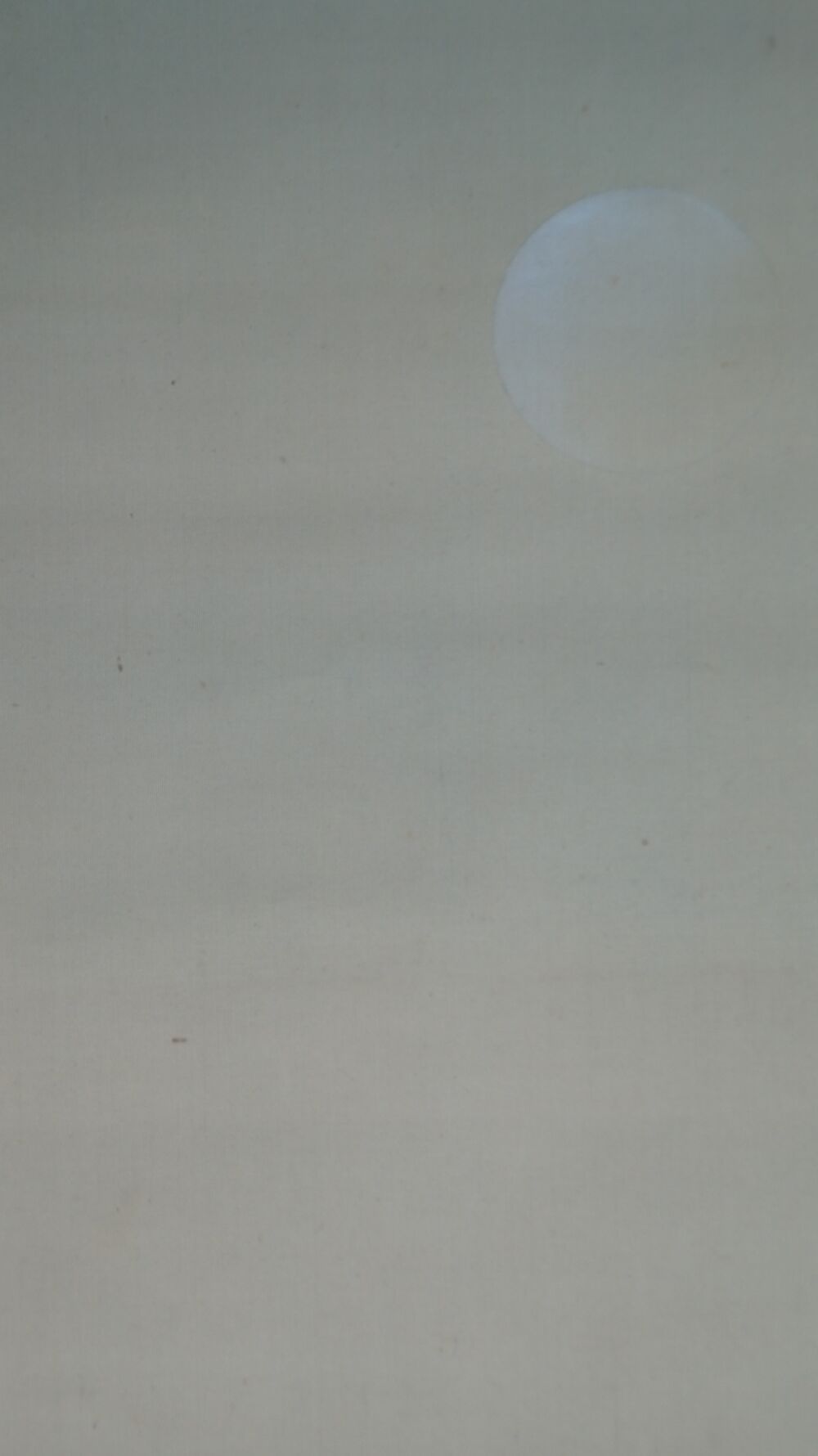 Detailansicht des zart lavierten Mondes im Kakemono Schoenheit im Kimono