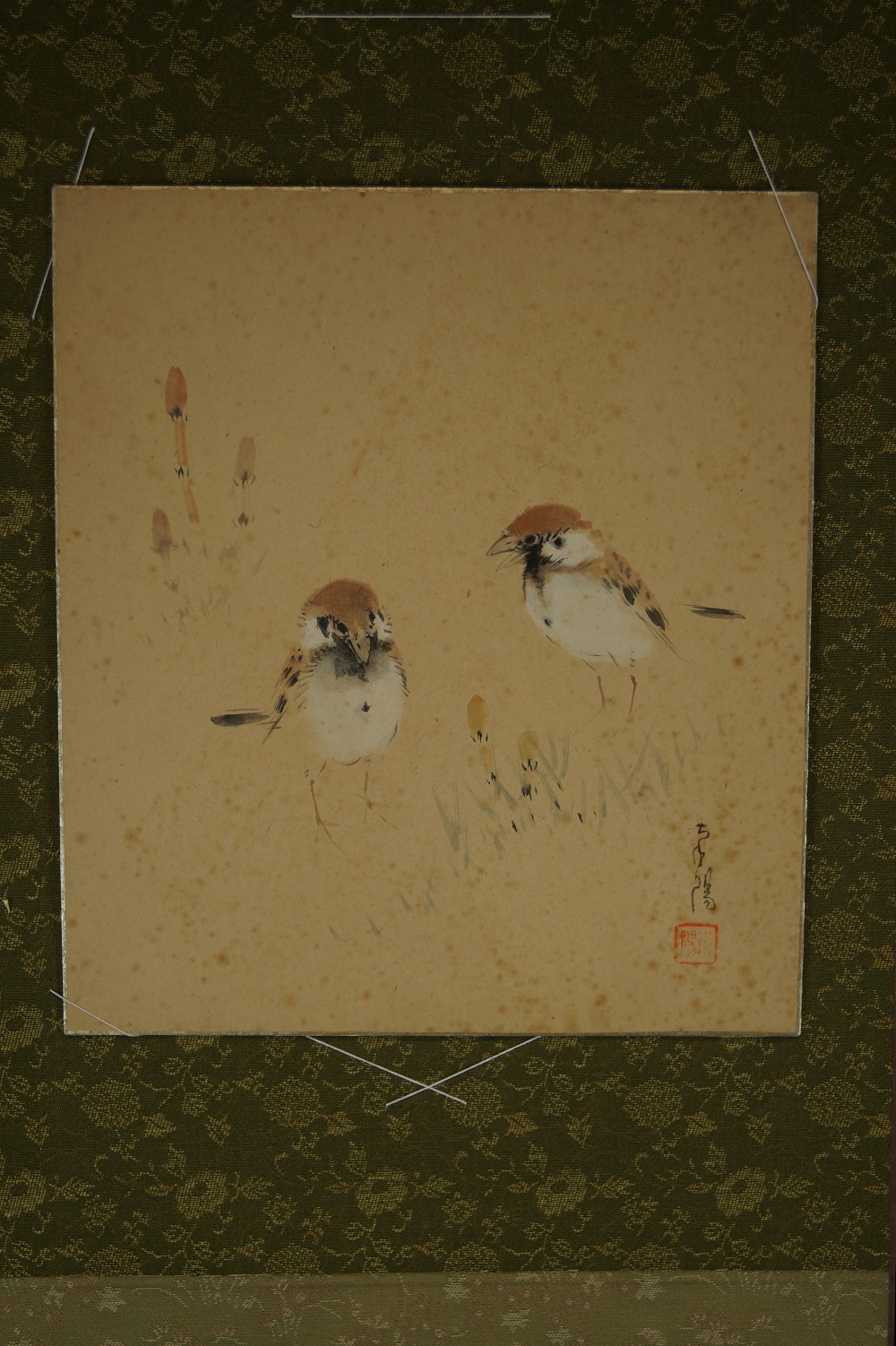 Shikishi Zwei Spatzen Shikishi in Einfassung