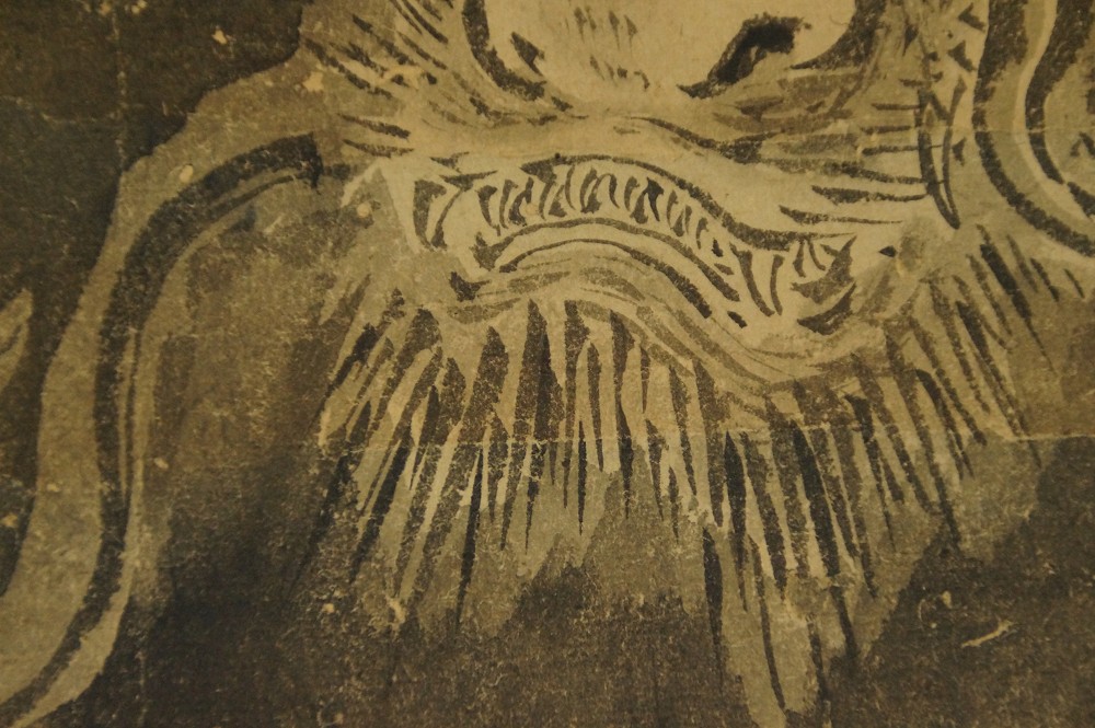 Nahaufnahme des buschigen Kinnbarts und der Zaehne des Drachen
