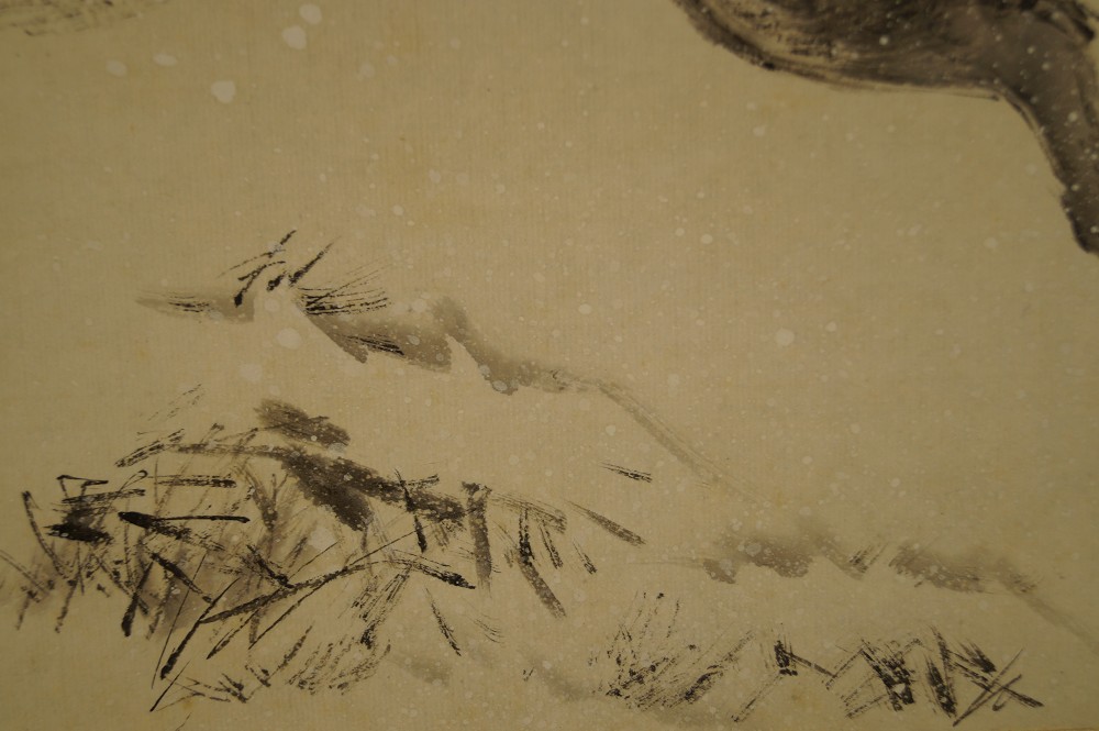 Keiler im Schnee Schnee Nahaufnahme