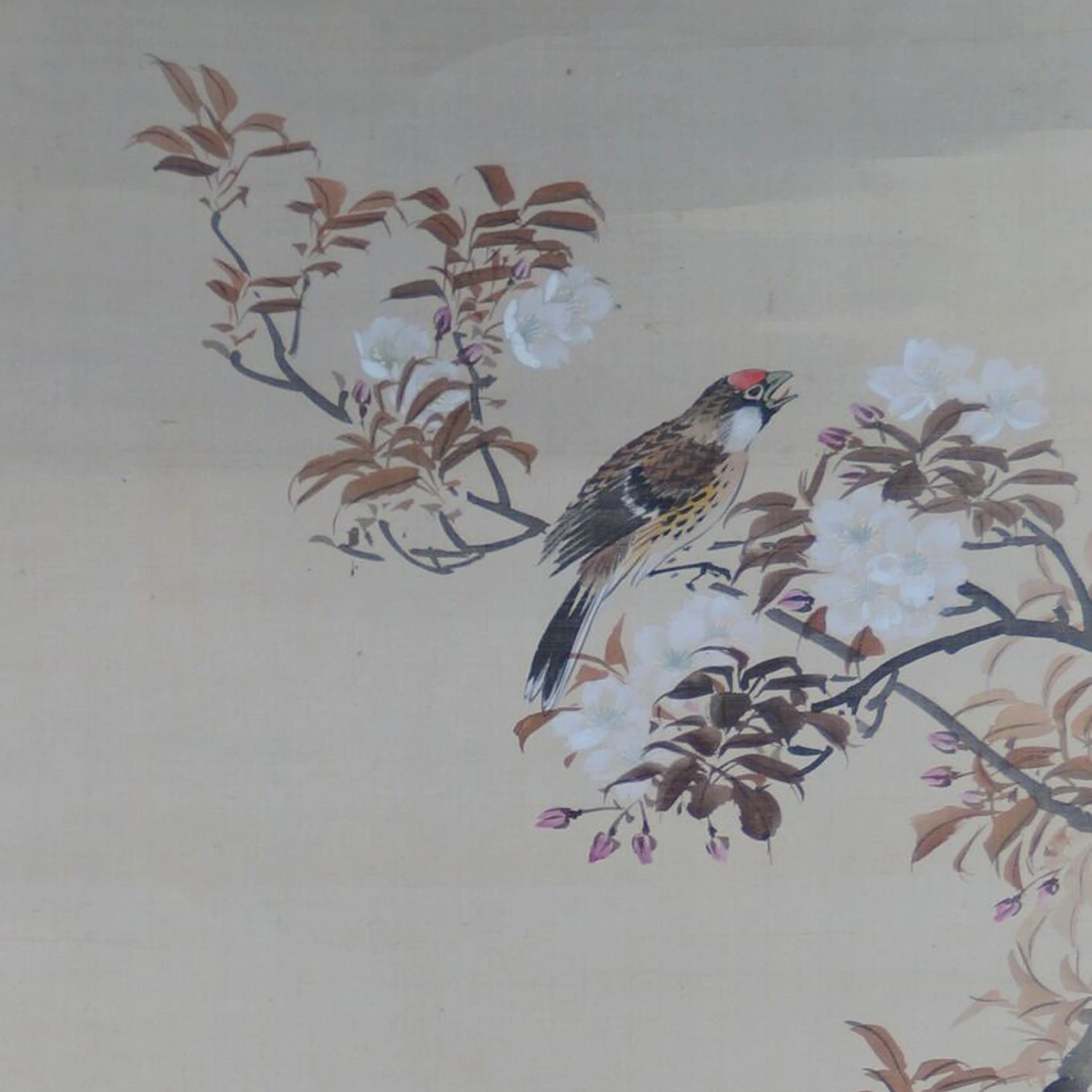 Nahaufnahme des singenden Vogels zwischen Kirschblueten im Kakemono Singender Vogel im Kirschbluetenzweig