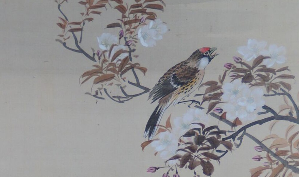 Kakemono von Hirose Hakuen: singender Vogel in einem Kirschblütenzweig.