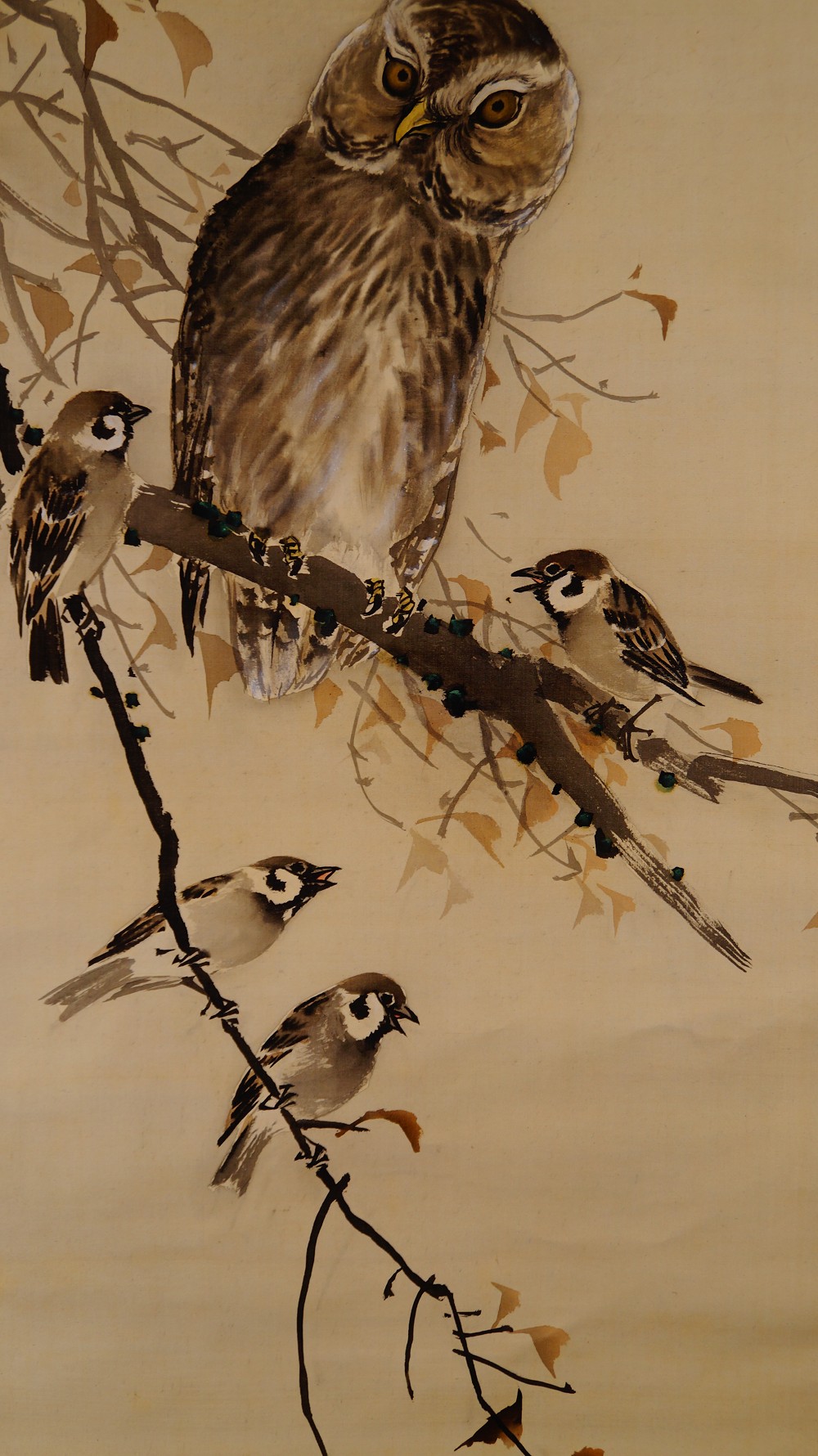 Weitere Nahaufnahme der Eule mit umgebenden Spatzen auf dem Ginkgozweig im Kakemono von Nakajima Kaho