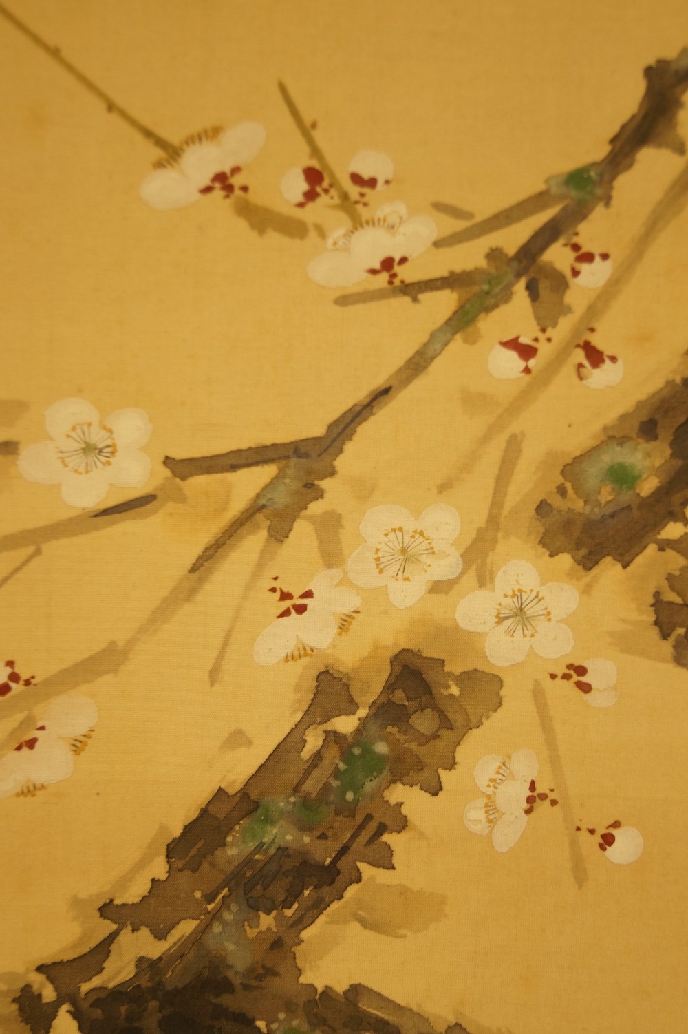 Vogel auf einem Kirschbaumzweig von Yasuyama Tachiwaki Pflaumenbluete Nahaufnahme