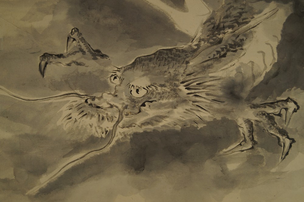 Tete de dragon et griffes dans la brume motif gros plan