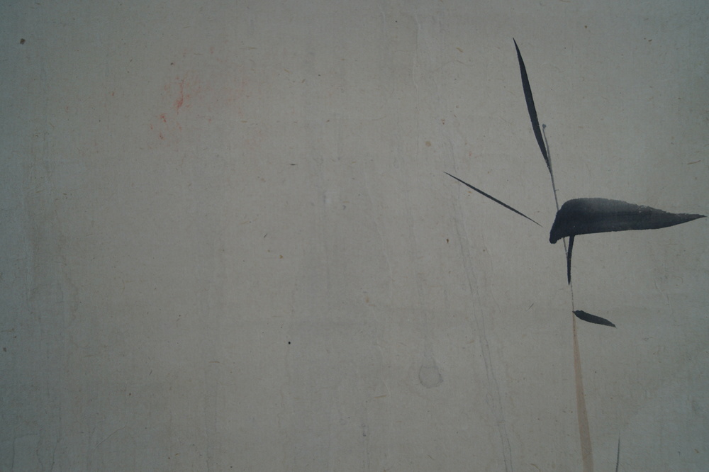 Une grue roseaux gros plan 2