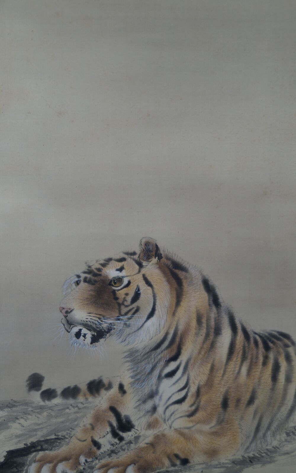 Nahaufnahme von Kopf und Oberkoerper des Tigers im Kakemono Tiger auf Felsen