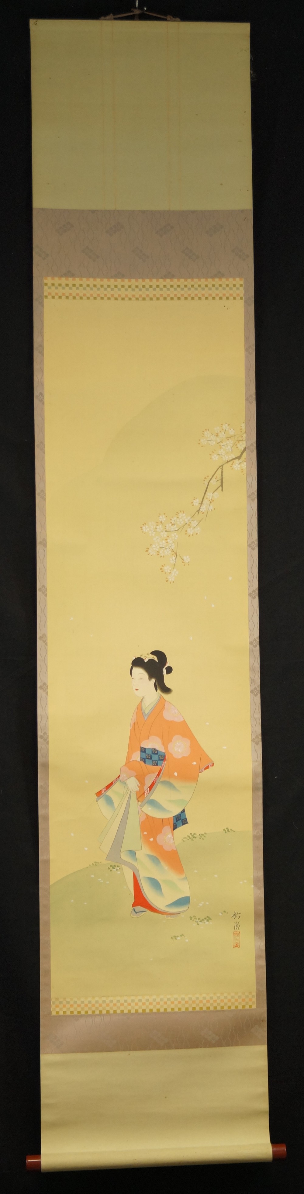 Belleza de Shuuko Nakayama vista general del rollo