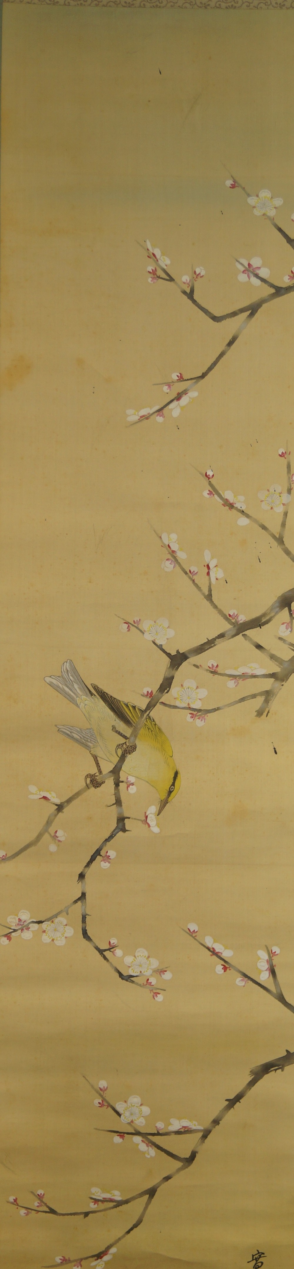 Vogel und Pflaumenblueten von Hiroshi Matsuda Gesamtmotiv ohne Rahmung