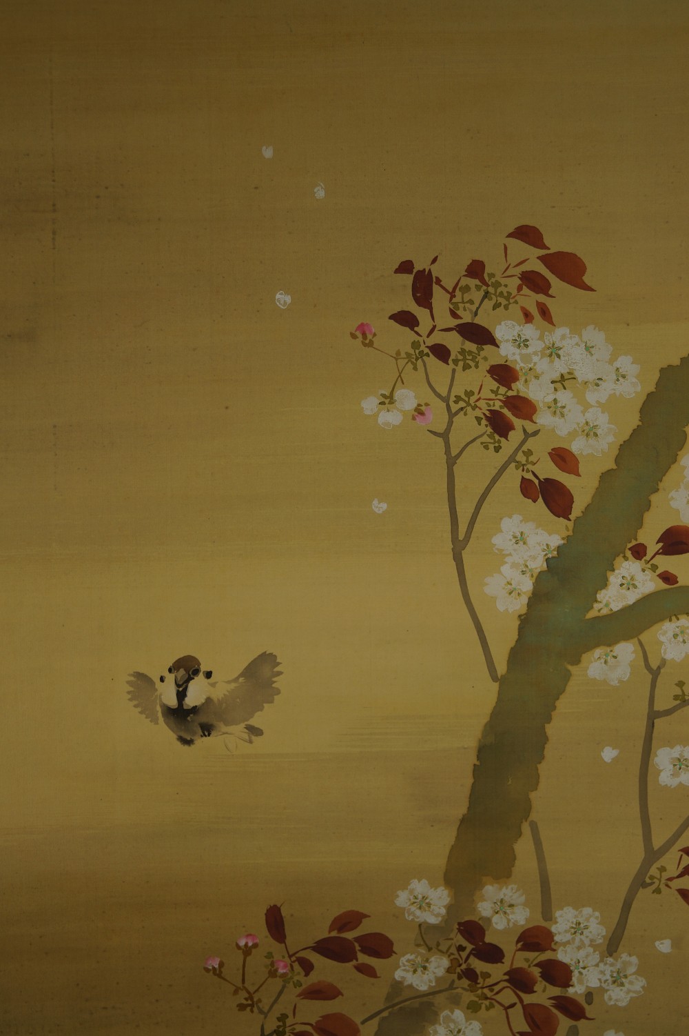 Japanisches Rollbild Spatz und Sakura Spatz Motiv Nahaufnahme 1