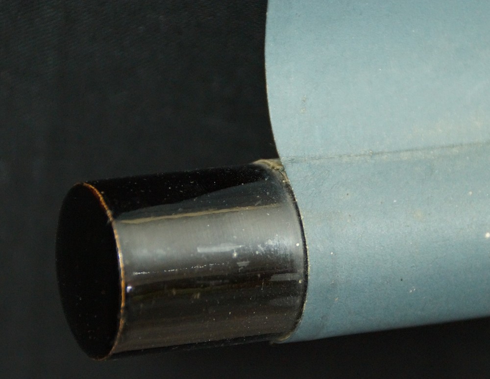 Vogel auf einem Rosenzweig Rollendetail